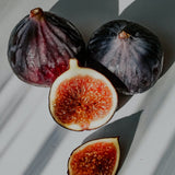 Tester: Fig Oil + Blue Agave Body Wash