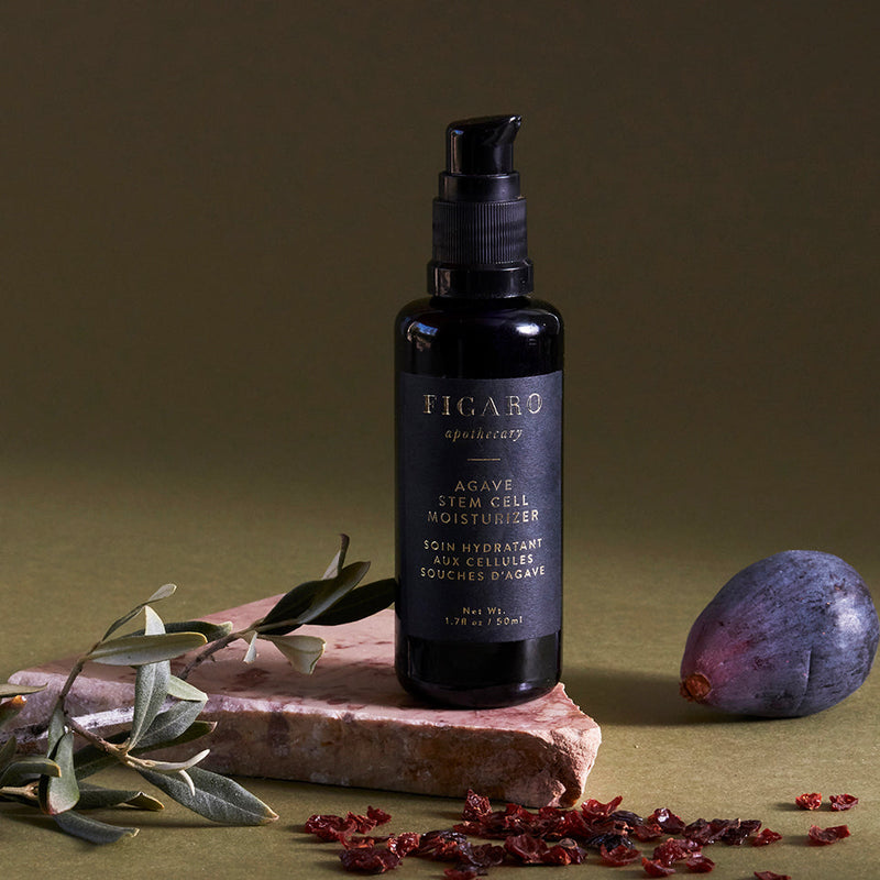 Agave Stem Cell Lightweight Moisturizer is a lightweight moisturizer placed on a marble surface with an echinacea plant next to it.