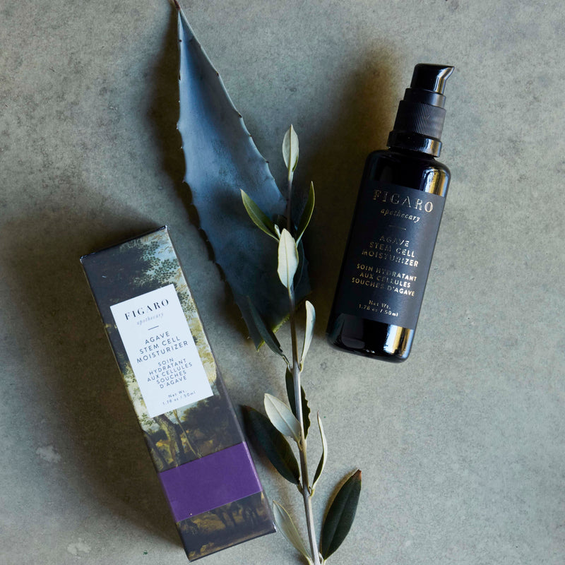 Our bottle of Agave Stem Cell Lightweight Moisturizer is next to an Agave leaf and green echinacea plant.
